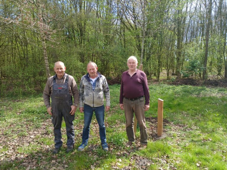Waldtag „light“ der Martinusschützen